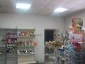 Магазины и бутики • 614.8 м² за ~ 66.7 млн 〒 в Алматы, Турксибский р-н — фото 9