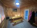 Отдельный дом · 4 комнаты · 403.5 м² · 30 сот., Теректы 59 за 157 млн ₸ в Семее — фото 67