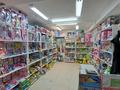Магазины и бутики • 20 м² за 5.5 млн 〒 в Астане, Сарыарка р-н — фото 10