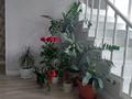 Жеке үй · 7 бөлме · 315 м² · 9 жүзд., Каскелен, ул.Койтас 7 — Школа Сатпаева, сзади ЦОНа, бағасы: 98 млн ₸ — фото 28