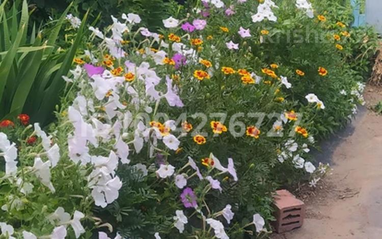 Дача · 2 комнаты · 20.2 м² · 6 сот., Грушевая 19 за 1.5 млн 〒 в Жезказгане — фото 2