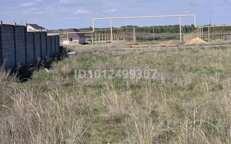 Жер телімі · 25 сотық, Балкарагай — Строительство зоны отдыха, бағасы: 37 млн ₸ в Астане, Алматы р-н — фото 2