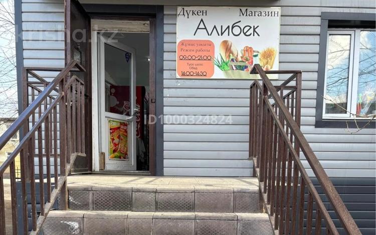 Продуктовый магазин · 74.8 м², бағасы: 18 млн ₸ в Аксу — фото 2