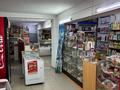 Продуктовый магазин · 74.8 м², бағасы: 18 млн ₸ в Аксу — фото 3