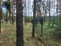 Участок · 20 соток, Щербаково, База отдыха "MUNCHEN за 26 млн ₸ в Костанайской обл. — фото 23