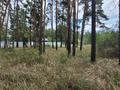 Участок · 20 соток, Щербаково, База отдыха "MUNCHEN за 26 млн ₸ в Костанайской обл. — фото 6