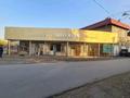 Магазин Аптека Овощной Парикмахерская СТО · 600 м², бағасы: 86.9 млн ₸ в Туздыбастау (Калинино) — фото 4