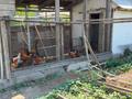 Отдельный дом · 3 комнаты · 78 м² · 10 сот., ул. Акжол 26 за 18.5 млн ₸ в Семее — фото 28