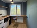 1-бөлмелі пәтер · 33 м² · 4/5 қабат, 7 микрорайон — Район экрана, бағасы: 150 000 ₸ в Темиртау — фото 11