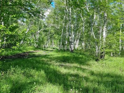 Участок · 26 соток, Наука 2 за 6.5 млн 〒 в Акколе