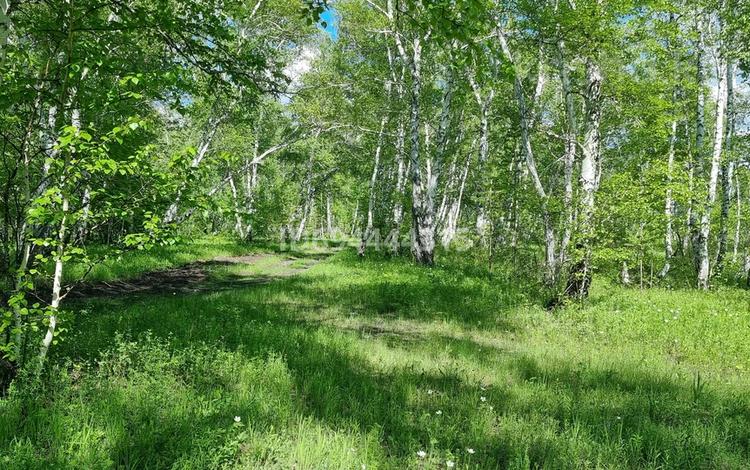 Участок · 26 соток, Наука 2 за 6.5 млн 〒 в Акколе — фото 2