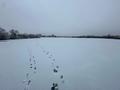Участок · 12 соток, Спектор 1б за 4 млн ₸ в Таскала — фото 5