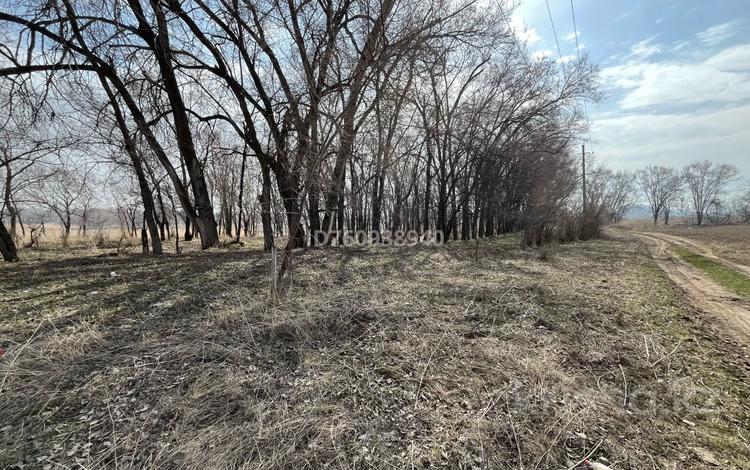 Участок · 6 соток, Алматинская обл. за 4.7 млн 〒 — фото 6