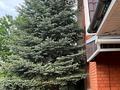 Отдельный дом · 5 комнат · 87.2 м² · 6.8 сот., СК АЗХС ВОСТОК-8 71 — Акжар, мечеть Ас Салям за 35 млн ₸ в Актобе, мкр Акжар — фото 5