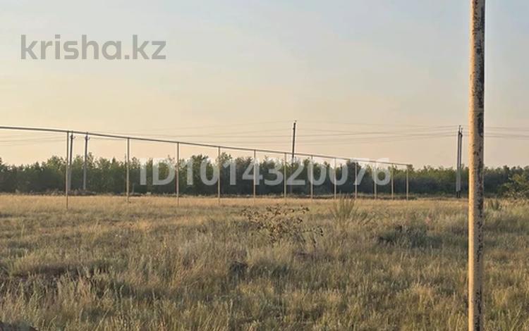 Жер телімі · 10 сотық, 088, бағасы: 15 млн ₸ в Аккайын — фото 2