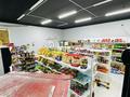 !!! Магазин продуковый · 60 м², бағасы: 19 млн ₸ в Астане, Сарайшык р-н — фото 8