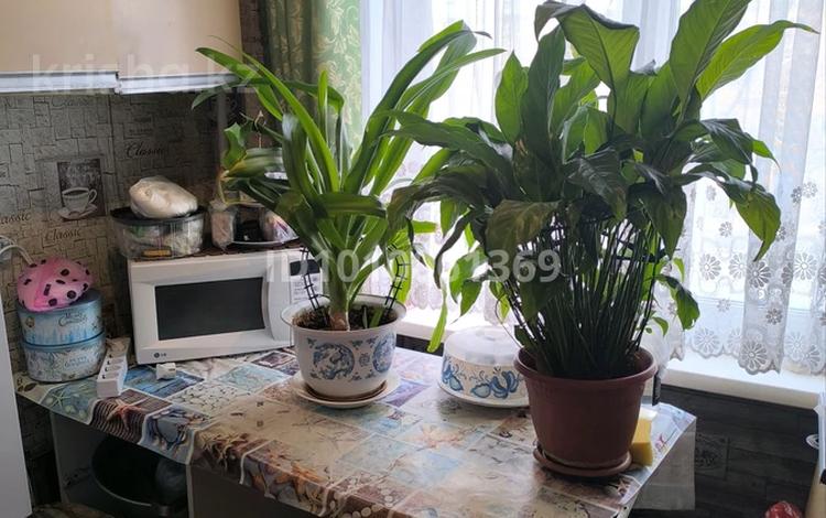 2-комнатная квартира · 41 м² · 4/5 этаж, Мызы 29 — Мызы, Казахстан за 14 млн ₸ в Усть-Каменогорске — фото 2