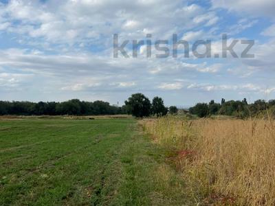 Участок · 114 соток, Долан за 65 млн ₸