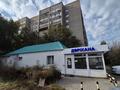2-комнатная квартира · 50.1 м² · 5/9 этаж, Кабанбай батыра 91 за 26.6 млн ₸ в Усть-Каменогорске — фото 54
