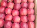 Жер телімі · 4.8 га, Бәйдібек би, бағасы: 28 млн ₸ в Байдибек би — фото 5