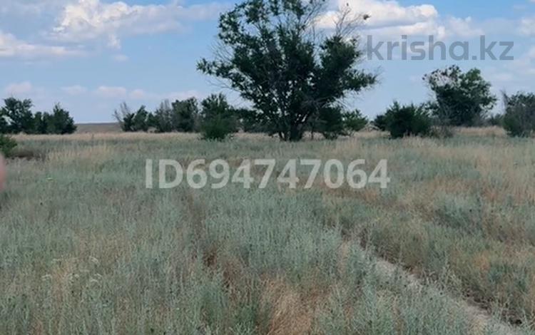 Участок · 17 га, Коктоган (Чапаев) за 32 млн ₸ — фото 2