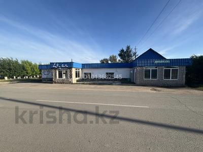Действующий бизнес: Магазин с Кафе · 85.4 м² за 40 млн ₸ в Коргалжыне