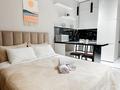 1-комнатная квартира · 30 м² · 7/12 этаж, Торайгырова 21/1 — Мустафина за 320 000 ₸ в Алматы, Бостандыкский р-н — фото 2
