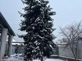 Участок · 2.5 соток, мкр Коккайнар 28а — Заречная за 12 млн ₸ в Алматы, Алатауский р-н — фото 7