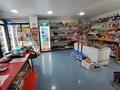 Магазины и бутики • 44 м² за 14.7 млн 〒 в Костанае — фото 10