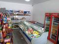 Отдельный дом · 8 комнат · 250 м² · 10 сот., Жанадил басара за 79 млн ₸ в Ельтае — фото 31