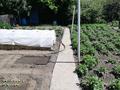Отдельный дом · 3 комнаты · 62 м² · 5 сот., Ул.Покрышкина 24 — Д.К.М за 22 млн ₸ в Усть-Каменогорске — фото 12