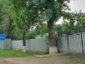Жер телімі · 6 сотық, Кыргауылды, бағасы: 18.9 млн ₸ — фото 3
