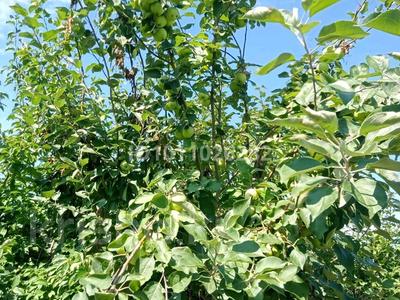 Дача · 1 комната · 10 м² · 9.8 сот., Садоводческое товарищество Вишенка за 2 млн 〒 в Петропавловске