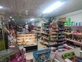 Магазины и бутики • 250 м² за 280 млн 〒 в Шымкенте, Аль-Фарабийский р-н — фото 4