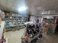 Магазины и бутики • 250 м² за 280 млн 〒 в Шымкенте, Аль-Фарабийский р-н — фото 5