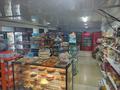 Магазины и бутики • 250 м² за 280 млн 〒 в Шымкенте, Аль-Фарабийский р-н — фото 6