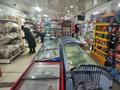 Магазины и бутики • 250 м² за 280 млн 〒 в Шымкенте, Аль-Фарабийский р-н — фото 7