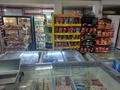 Магазины и бутики • 250 м² за 280 млн 〒 в Шымкенте, Аль-Фарабийский р-н — фото 8