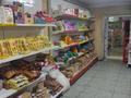 Магазины и бутики • 250 м² за 280 млн 〒 в Шымкенте, Аль-Фарабийский р-н — фото 17