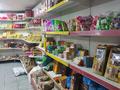Магазины и бутики • 250 м² за 280 млн 〒 в Шымкенте, Аль-Фарабийский р-н — фото 18