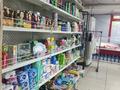 Магазины и бутики • 250 м² за 280 млн 〒 в Шымкенте, Аль-Фарабийский р-н — фото 22
