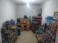 Магазины и бутики • 250 м² за 280 млн 〒 в Шымкенте, Аль-Фарабийский р-н — фото 26