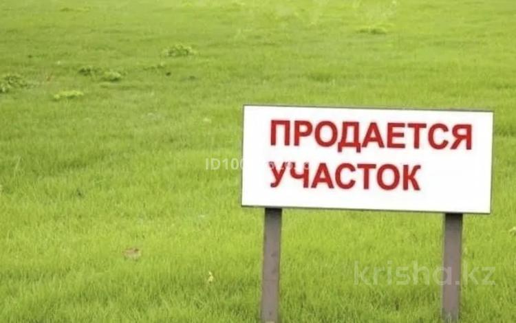 Участок · 10 соток, Жаман Каргалы за 1.8 млн ₸ в Кызылжар — фото 6
