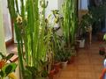 Отдельный дом · 8 комнат · 520 м² · 17.5 сот., Момышулы за 145 млн ₸ в Кызылкайрат — фото 5