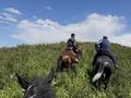 Зона отдыха Сакский Баня Тойхана этноауыл гостиница юрты 4 гектар · 40000 м² за 250 млн ₸ в Каскелене — фото 12