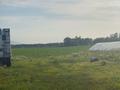 Сельское хозяйство • 3000 м² за 85 млн 〒 в Айтей — фото 24