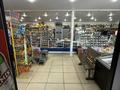 Магазин с помещением · 200 м² за 25 млн ₸ в 