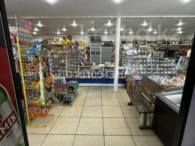 Магазин с помещением · 200 м² за 25 млн ₸ в 