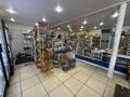 Магазин с помещением · 200 м² за 25 млн ₸ в  — фото 4