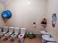 Отдельный дом · 12 комнат · 477 м² · 7 сот., Жагажай 38а за 175 млн ₸ в Каскелене — фото 45